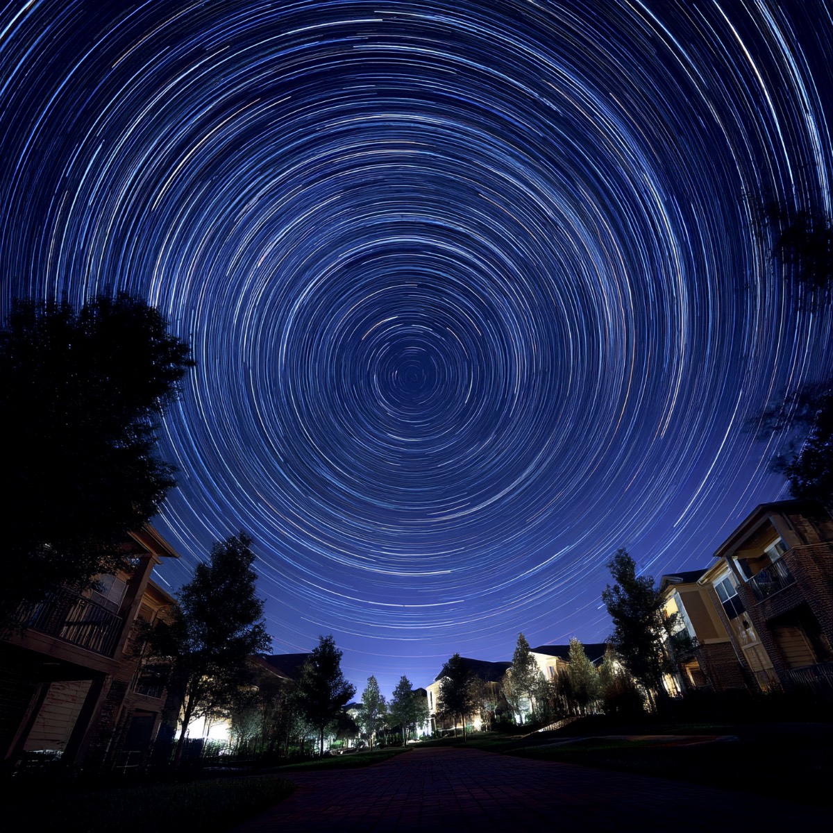 Circular star trails around Polaris in long exposure photo